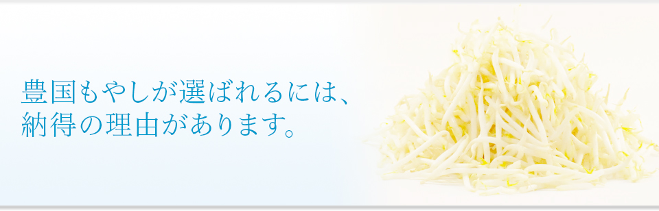 豊国もやしが選ばれるには納得の理由があります。